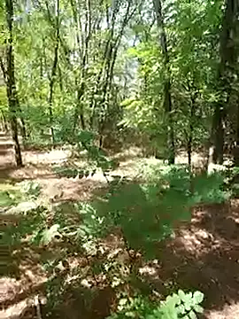 sile47 online show from 09/21/25, 10:06