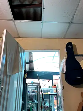 val zx online show from 09/08/25, 09:03