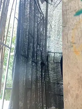 val zx online show from 03/27/26, 05:56