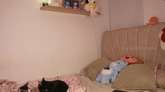 sweetlittlevenus online show from 12/19/25, 10:06