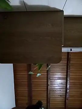 Snapshot of Sexi_girl29 chatting on 10/02/25, 09:16 Sexi girl29 online show from 10/02/25, 09:16