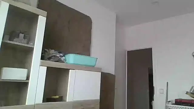 Snapshot of ThePython666 chatting on 11/24/25, 09:20 ThePython666 online show from 11/24/25, 09:20