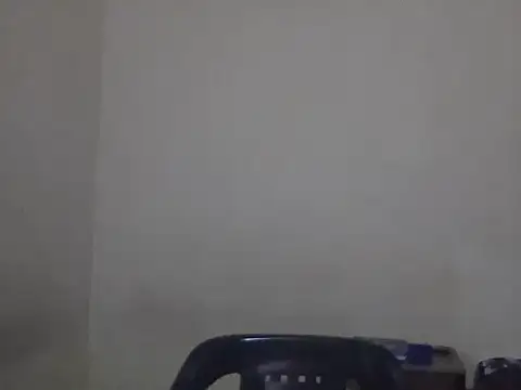 Snapshot of Visculi chatting on 12/14/25, 08:46 Visculi online show from 12/14/25, 08:46