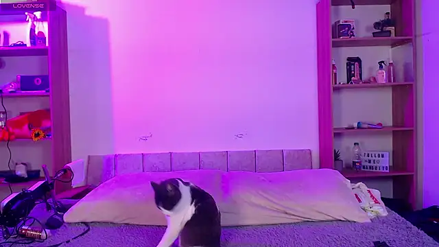 Soy mangx online show from 01/11/26, 03:00