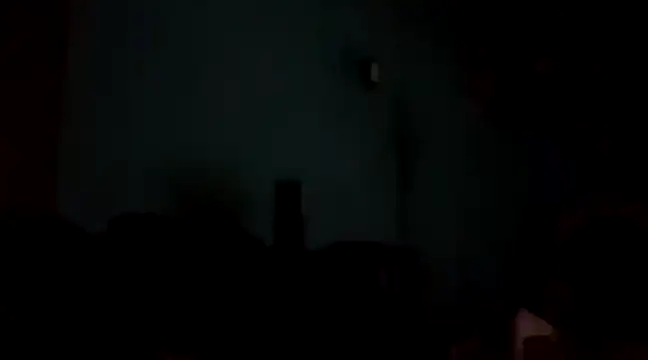 rasvinchi online show from 03/13/25, 10:54