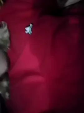 Snapshot of VictoriaLuxe chatting on 11/05/25, 08:42 VictoriaLuxe online show from 11/05/25, 08:42