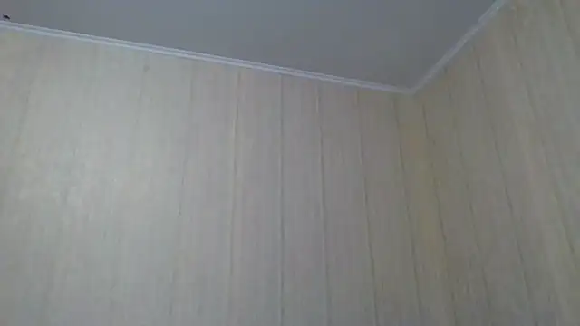 Snapshot of _Black-Panther_ chatting on 09/28/25, 10:31 Black-Panther online show from 09/28/25, 10:31
