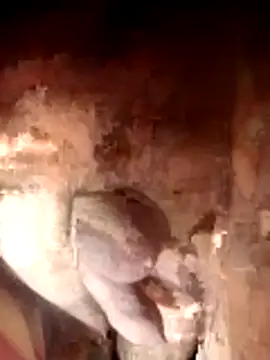 Snapshot of Ayush_pussy_fucker chatting on 11/23/25, 06:08 Ayush pussy fucker online show from 11/23/25, 06:08