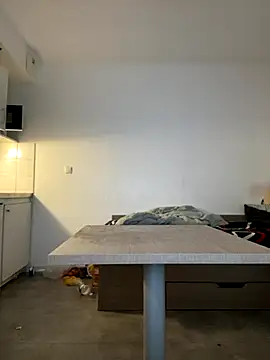 Renoirmonter online show from 11/11/25, 10:59