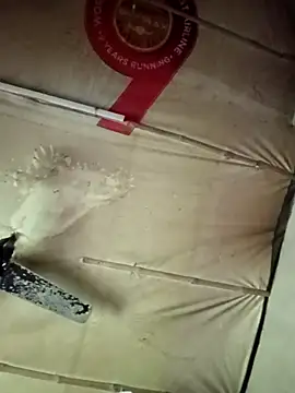 adrija94 online show from 11/22/25, 04:11