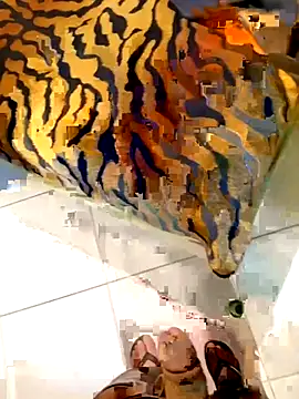 Snapshot of Dglo0000 chatting on 02/28/26, 04:46 Dglo0000 online show from 02/28/26, 04:46