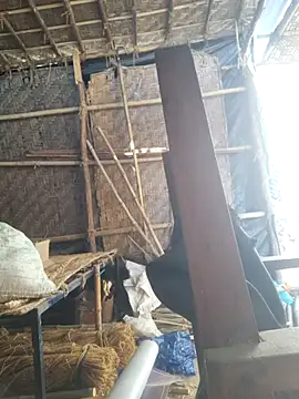 hot integer online show from 02/21/26, 02:56