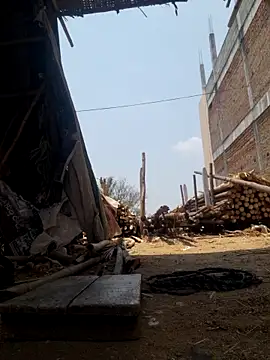 hot integer online show from 04/21/26, 06:20