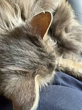 Max 965 online show from 03/30/26, 10:27