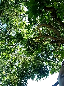 Snapshot of perversumm chatting on 09/21/25, 04:19 perversumm online show from 09/21/25, 04:19