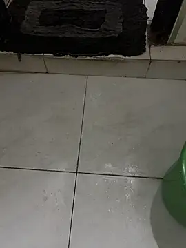 Snapshot of dilu98 chatting on 09/11/25, 12:33 dilu98 online show from 09/11/25, 12:33