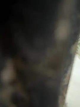 Snapshot of dilu98 chatting on 02/21/26, 02:01 dilu98 online show from 02/21/26, 02:01