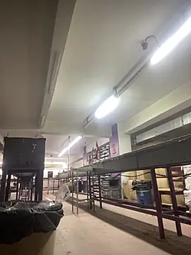 giyasbvnghkgkfk online show from 04/13/26, 07:25