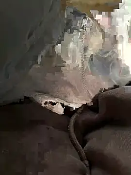 bambi lu online show from 03/05/26, 06:59