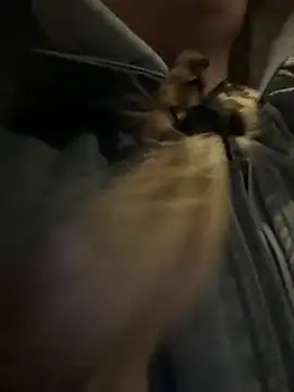 bambi lu online show from 03/15/26, 06:58