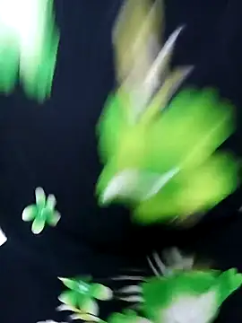 tamiltady online show from 09/12/25, 05:57