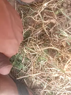 perplexedsoul online show from 12/01/25, 09:14