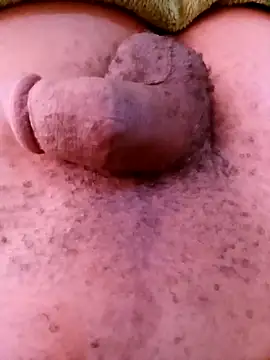 horny1131 online show from 04/11/26, 07:45