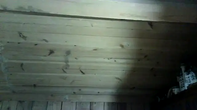 Angelsordemons6 online show from 03/04/26, 08:26