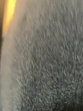 xiaoyuan01 online show from 03/09/26, 02:04