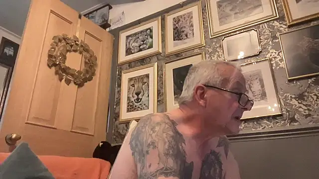 poggles online show from 11/29/25, 12:41