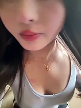 Snapshot of chenyu0308 chatting on 10/05/25, 04:11 chenyu0308 online show from 10/05/25, 04:11