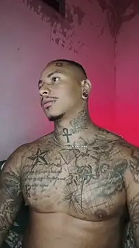 David tatto1 online show from 02/14/26, 03:58