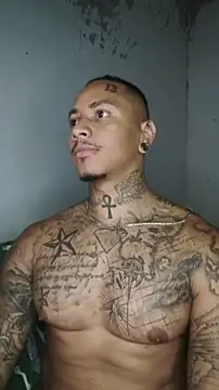 David tatto1 online show from 03/03/26, 03:34