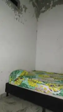 David tatto1 online show from 04/16/26, 03:07