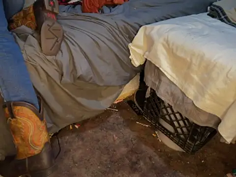 Snapshot of HodgeVibes chatting on 03/01/26, 02:13 HodgeVibes online show from 03/01/26, 02:13