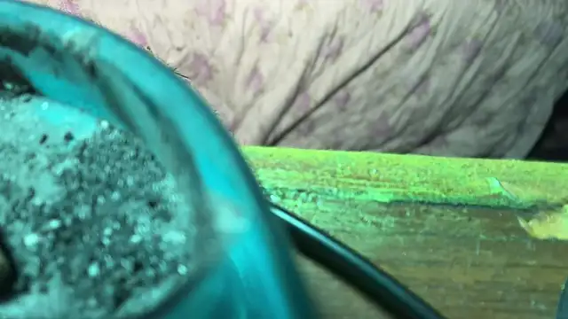 HodgeVibes online show from 04/21/26, 11:49