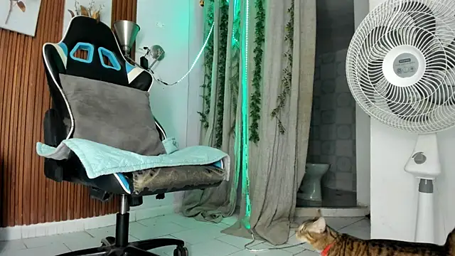 Darwin mayo online show from 12/22/25, 05:32