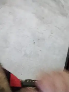 salimbasha online show from 04/19/26, 01:38
