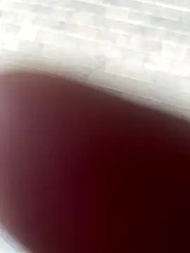 Snapshot of kamo012000 chatting on 10/09/25, 02:37 kamo012000 online show from 10/09/25, 02:37