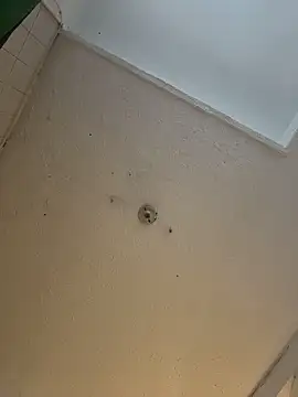 cam11 07 online show from 04/08/26, 09:37