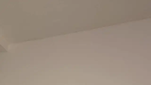 Aleecandrews online show from 11/24/25, 07:35