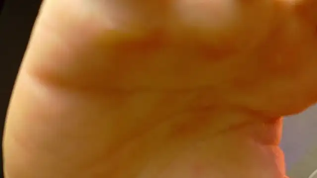 david huge online show from 07/27/26, 08:21
