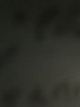 MusaAyla online show from 04/08/26, 10:32