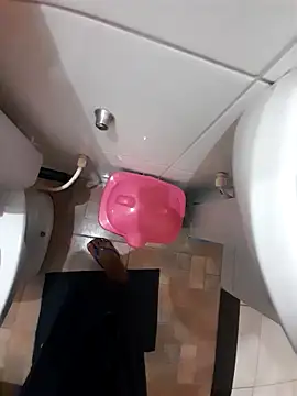 nego-insaciavel online show from 11/17/25, 11:38