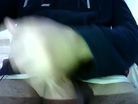 photo3995 online show from 01/12/26, 09:47