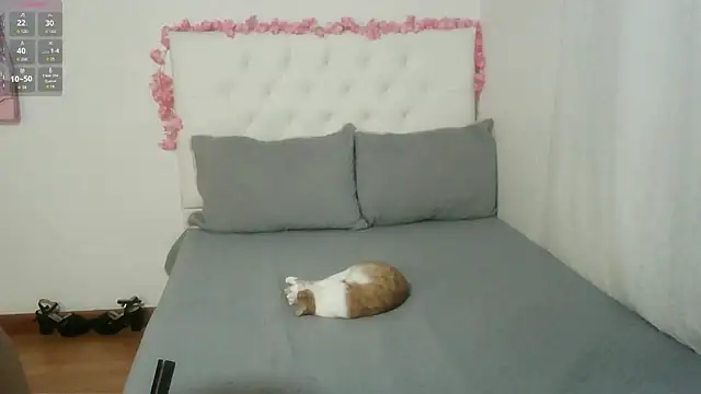 Snapshot of AbrilVelastegui7 chatting on 10/05/25, 03:38 AbrilVelastegui7 online show from 10/05/25, 03:38