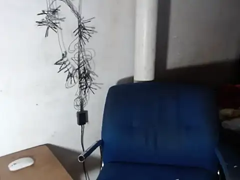 BebaFoxx online show from 11/30/25, 07:01