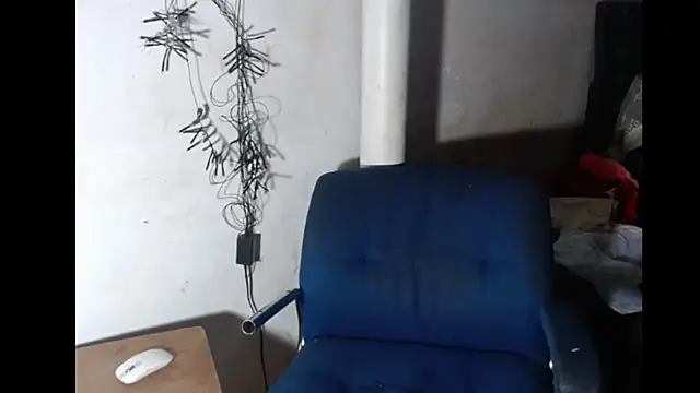 BebaFoxx online show from 02/08/26, 10:35