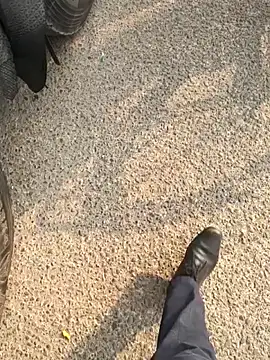 Snapshot of mysticeyes_backup chatting on 11/15/25, 03:37 mysticeyes backup online show from 11/15/25, 03:37