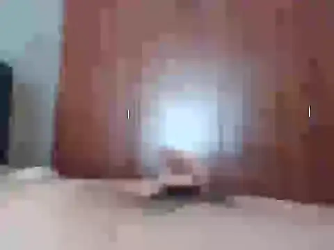 Culazodeantonellarocuzzo online show from 02/25/26, 03:21